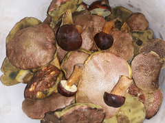 20190928_175119.jpg