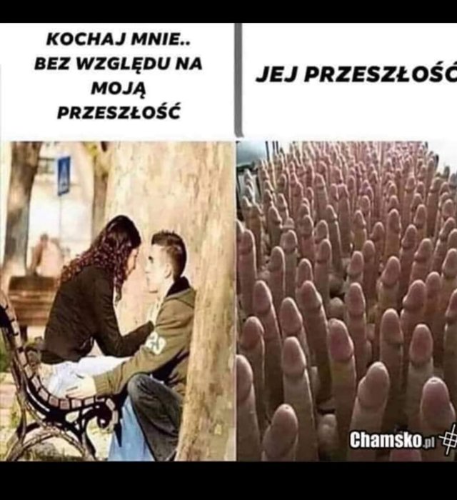 Pieknaibestia1981
