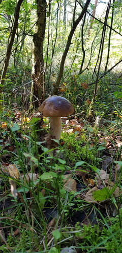 20190924_101412.jpg