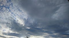 DSC_0568.JPG