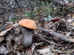20190927_092920.jpg