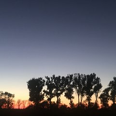 A52A9D30-5937-4643-8302-4594442738C4.jpeg