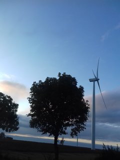 20191004_072714.jpg