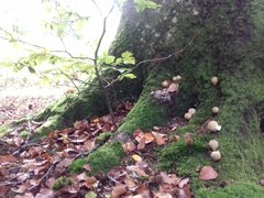 20191004_115001.jpg