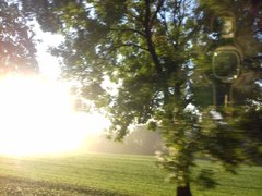 20191004_075618.jpg