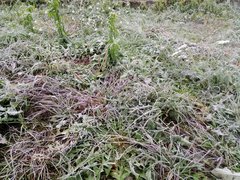 IMG_20191007_073118.jpg
