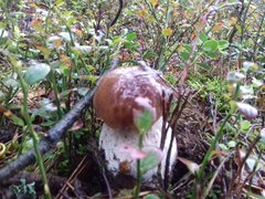 20191008_142509.jpg