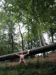 IMG_20191009_125358.jpg