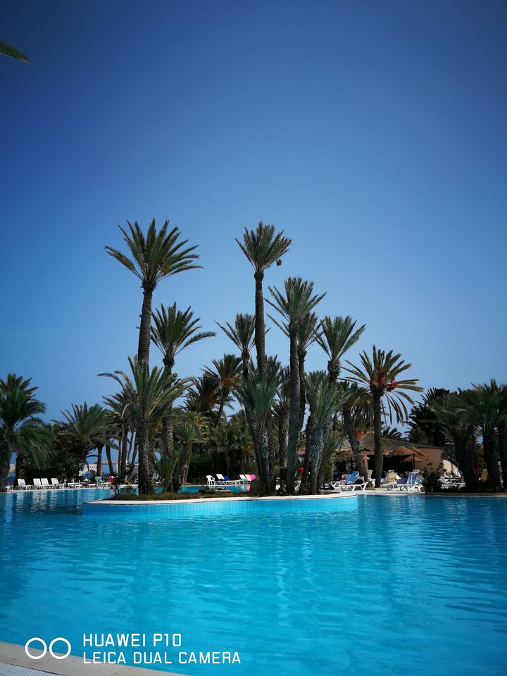 Djerba - amaretto2