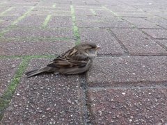 20191010_155458.jpg