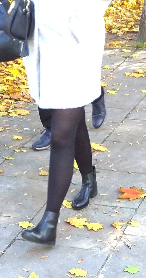 201910121744cz.jpg - AGALA