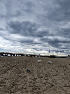 Resized_20190920_150527.jpeg