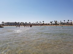 IMG_20191013_1222411271596302945922733.jpg