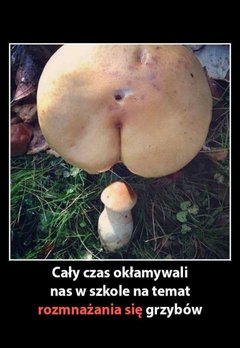 20190928_101913.jpg