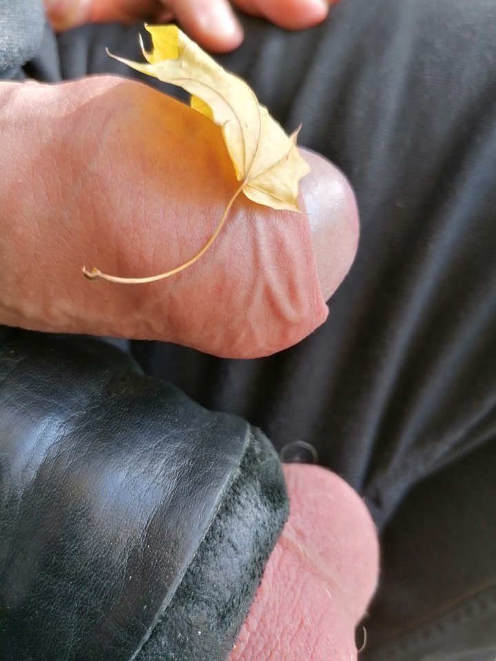 IMG_20191014_133357.jpg - RATCVAC