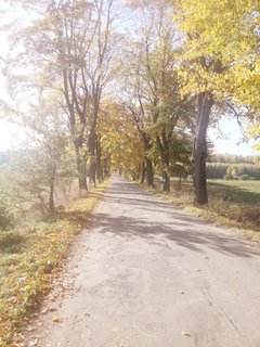 20191014_134035.jpg
