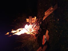 IMG_20191004_205231_1.jpg