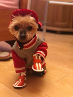 6334DFFB-A5C0-421C-85AE-818BF4F626C2.jpeg