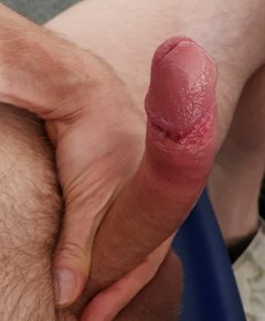 Zesztywnial