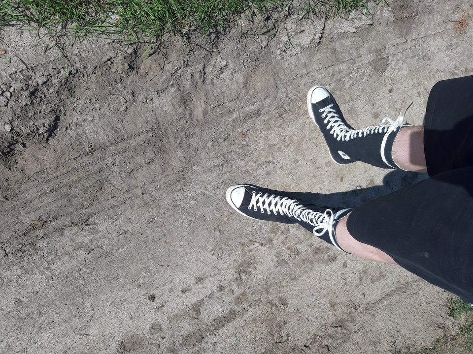 20190602_153503.jpg - thlukasz