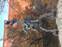 20191017_173143.jpg