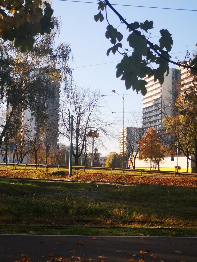 nieznanyn