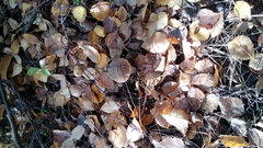 20191020_111218.jpg