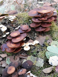 20191020_132929.jpg