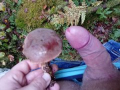 Aaaa.... grzybki dwa 🍄🍄