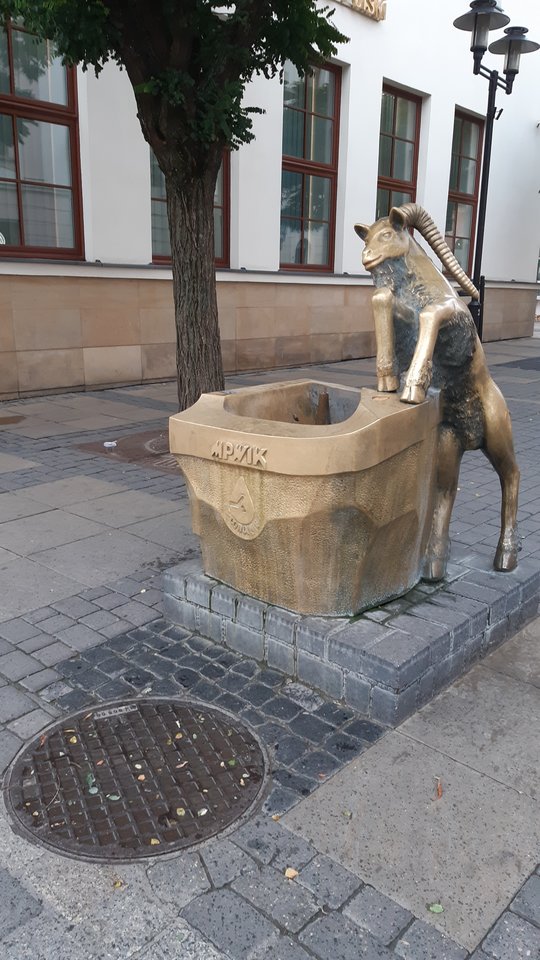 Rogacz:)) - Arrou