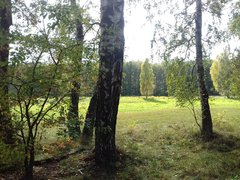 20191010_133635.jpg