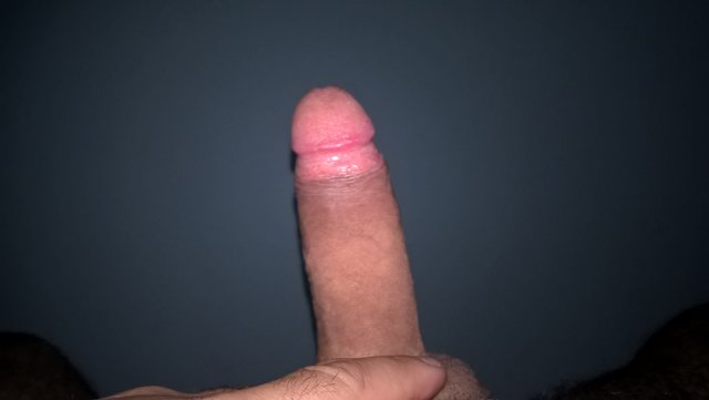 marko7979