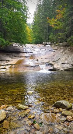 20191025_120823.jpg