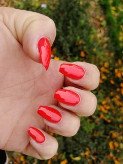 IMG_20191017_131704.jpg