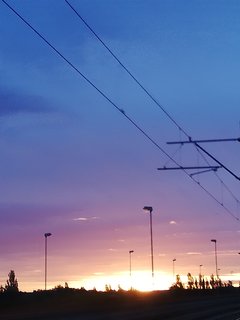 IMG_20191027_064935.jpg