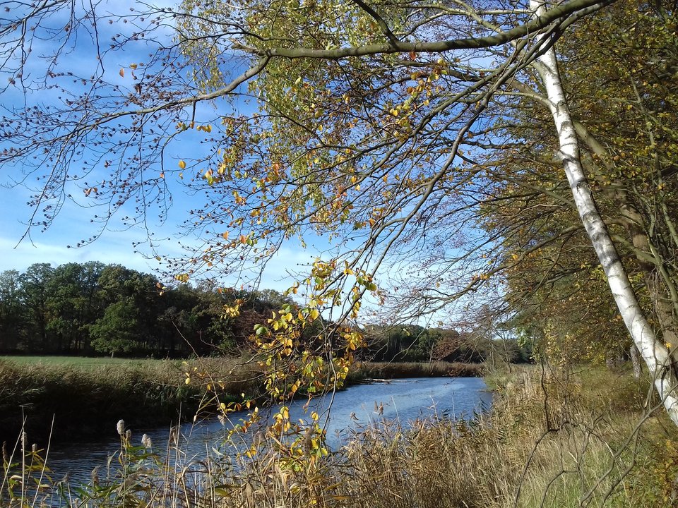20191026_143948.jpg - torii99