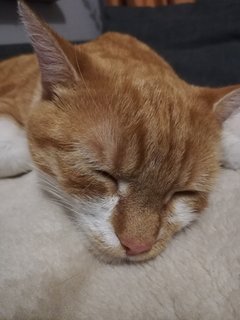 IMG_20191027_164902.jpg