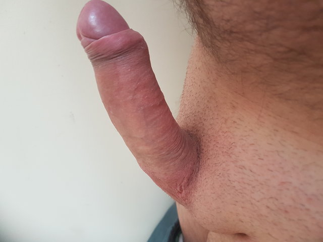 kropek73