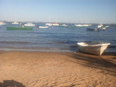IMG_20190630_180651.jpg