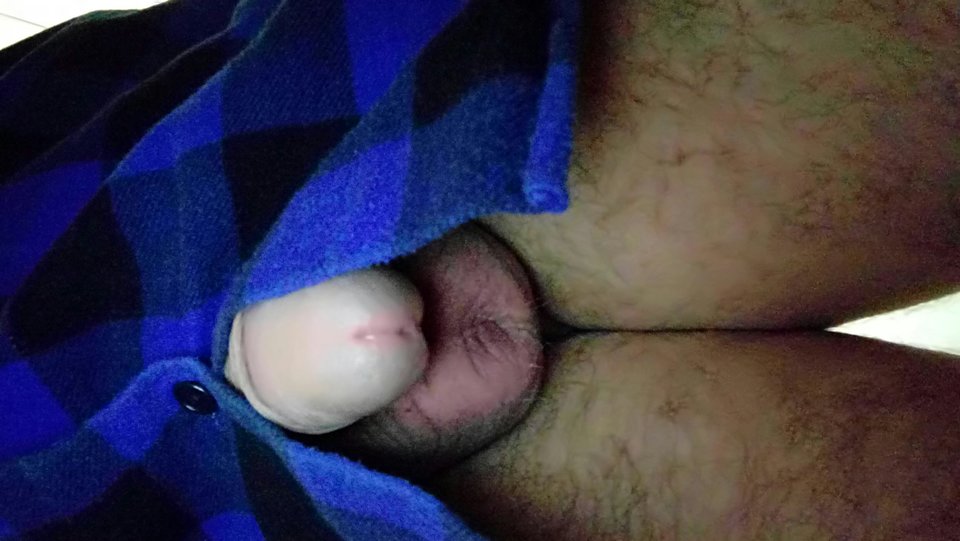 20191031_113147.jpg - misio69697