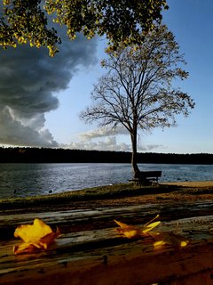 20191029_164921.jpg