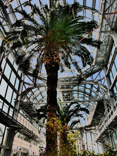 P1100447.JPG