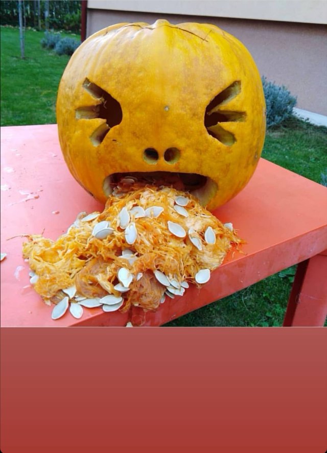 plenerowy83