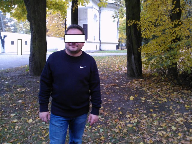 otomek