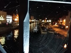 IMG_20190823_224554.jpg