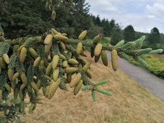 IMG_20190616_150052.jpg