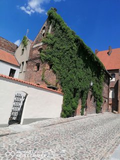 IMG_20190602_135702.jpg