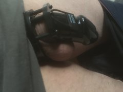 IMG_3729.JPG
