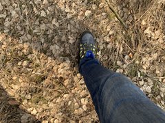 3595BEF3-271A-4536-8A18-0725F1FA4582.jpeg
