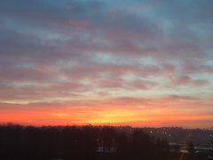 20191026_070125.jpg